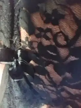 Snapshot of misteriosabb000 chatting on 03-17-26, 06:33 misteriosabb000 online show from 03-17-26, 06:33