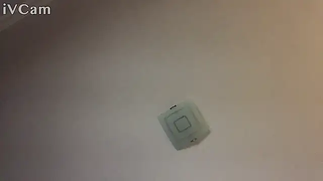 XxvanxX online show from 11-14-25, 06:50