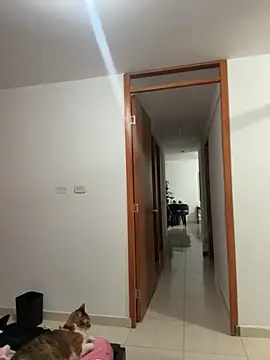 Snapshot of violeticafox chatting on 12-21-25, 03:46 violeticafox online show from 12-21-25, 03:46