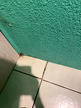 Snapshot of feetbooy chatting on 12-22-25, 12:18 feetbooy online show from 12-22-25, 12:18