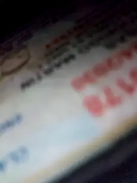 Roddog18 online show from 04-18-26, 08:20