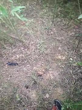 Aadityaaa07 online show from 11-11-25, 05:40