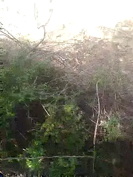 Aadityaaa07 online show from 04-11-26, 08:40