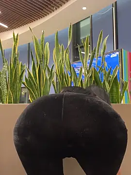 ilariea girl online show from 02-03-26, 05:07