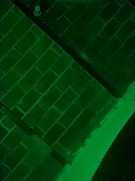 Buddha289 online show from 03-09-26, 07:34