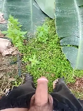 Sikici0734 online show from 12-04-25, 07:06