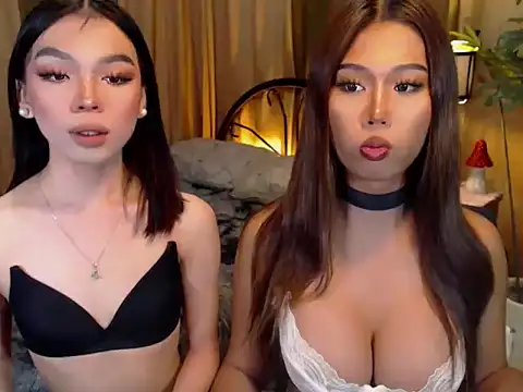 Snapshot of TWINKTRANSSHANEL chatting on 10-09-25, 04:21 TWINKTRANSSHANEL online show from 10-09-25, 04:21