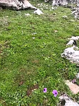 Snapshot of Sert_erkek21_ysm chatting on 03-23-26, 10:19 Sert erkek21 ysm online show from 03-23-26, 10:19