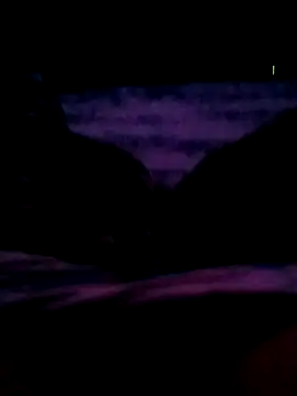 veintitres23 online show from 11-11-25, 07:52