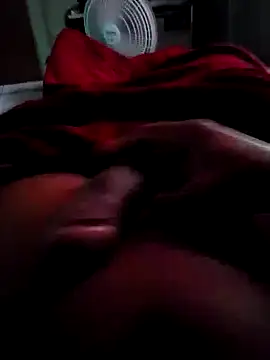 picadme online show from 03-30-26, 07:48