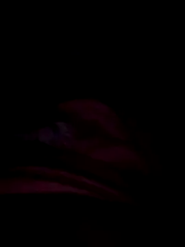 prettygirl3245 online show from 11-06-25, 05:19