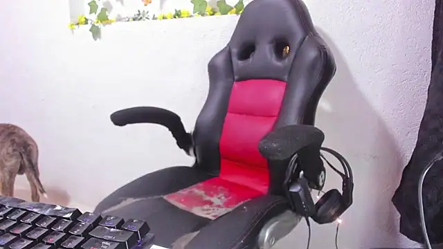 Snapshot of soffycarter1 chatting on 11-25-25, 11:16 soffycarter1 online show from 11-25-25, 11:16