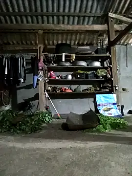 jerry-xx online show from 04-19-26, 10:14