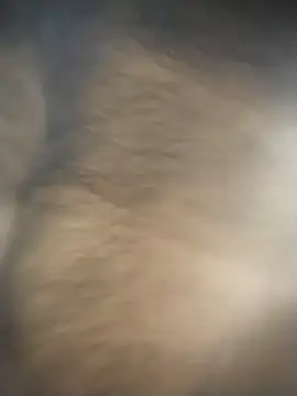 SL BEAR online show from 12-04-25, 01:48