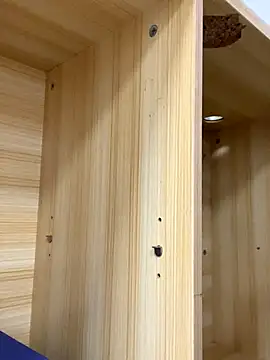 Winona88 online show from 11-06-25, 08:59