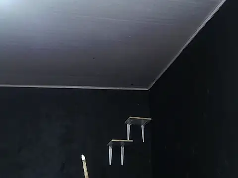 Liastark online show from 11-30-25, 10:41