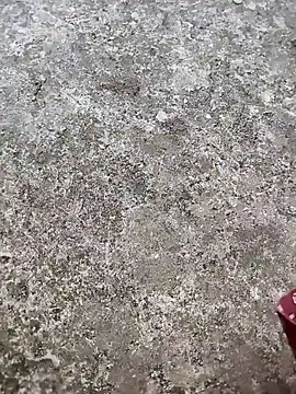 play boy-raj007 online show from 11-02-25, 10:17