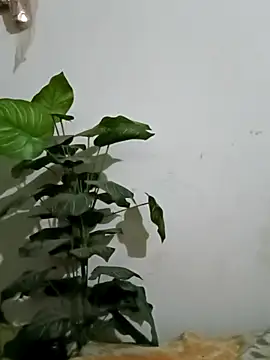 Jessica-03 online show from 03-05-26, 06:04