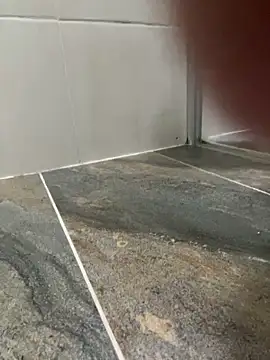 Dani anal ts online show from 10-29-25, 08:54