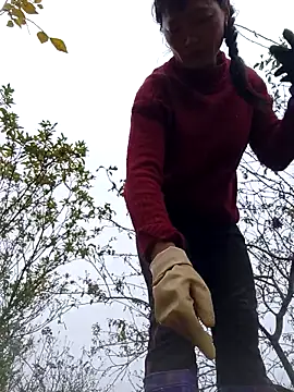 siusiu-00 online show from 11-12-25, 09:10