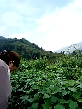 omai-ngot online show from 11-15-25, 01:14