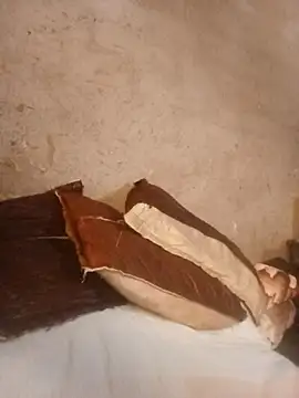 Bretbooty23 online show from 11-24-25, 09:31