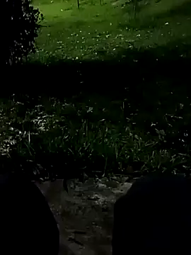 roludao fun online show from 11-10-25, 10:42