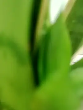 Snapshot of roludao_fun chatting on 06-06-26, 01:21 roludao fun online show from 06-06-26, 01:21