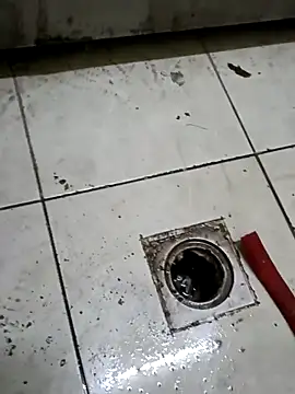 ConvoyedSubgroup online show from 03-05-26, 08:38