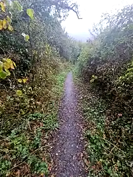 bbyxklaus online show from 10-20-25, 11:43