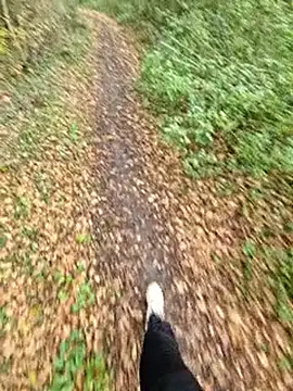 bbyxklaus online show from 11-06-25, 12:28