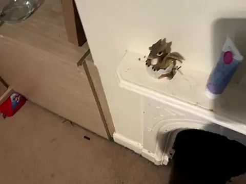 Snapshot of Scarletcum22 chatting on 01-11-26, 11:37 Scarletcum22 online show from 01-11-26, 11:37