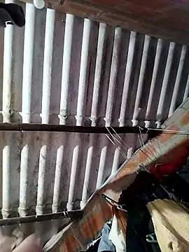 Snapshot of AfroditaSweet@xh chatting on 01-18-26, 11:03 AfroditaSweetxh online show from 01-18-26, 11:03