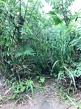 couplesexroom online show from 11-19-25, 08:03