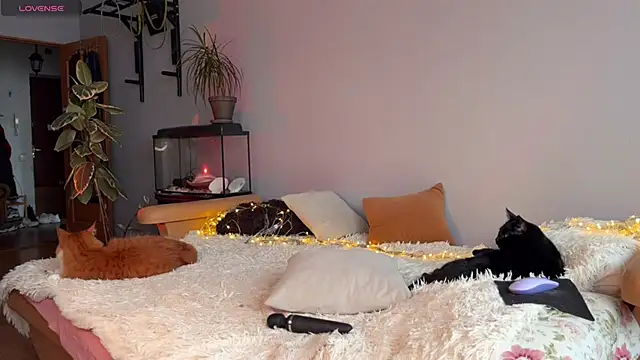 Lin Cherie online show from 11-20-25, 11:21