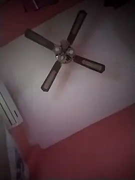 Danii2005 online show from 11-06-25, 01:34