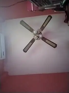 Danii2005 online show from 12-17-25, 05:30