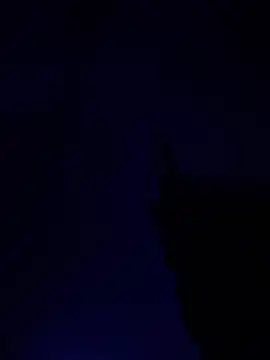 Snapshot of alfarabisami chatting on 06-10-26, 09:03 alfarabisami online show from 06-10-26, 09:03