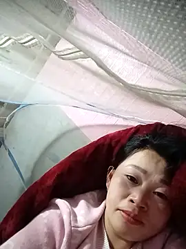 Snapshot of my-my2x chatting on 11-29-25, 11:57 my-my2x online show from 11-29-25, 11:57