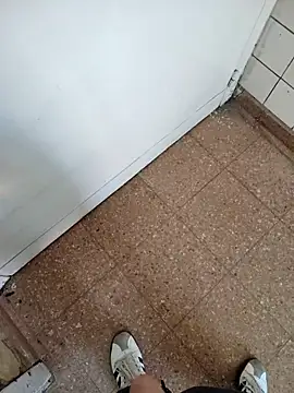 rosmeripelaes online show from 12-01-25, 06:13