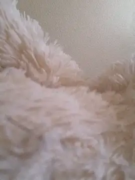 Snapshot of Bruninhadeusa chatting on 12-19-25, 10:33 Bruninhadeusa online show from 12-19-25, 10:33