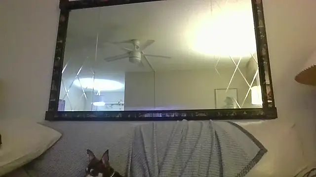 KosherCo313 online show from 11-23-25, 01:27