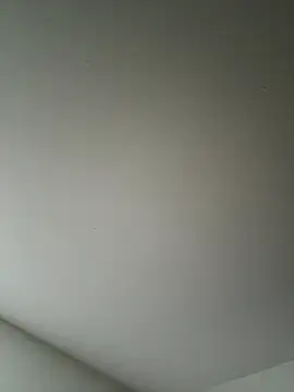 derekp55 online show from 11-02-25, 12:51