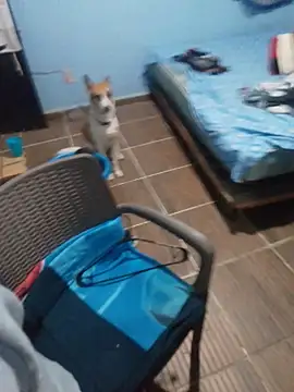 666Daemon666 online show from 01-17-26, 05:12