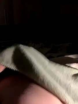 bfelipedasilva online show from 10-28-25, 01:31