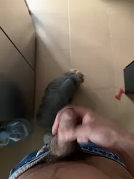 Snapshot of findomhot chatting on 02-04-26, 03:51 findomhot online show from 02-04-26, 03:51