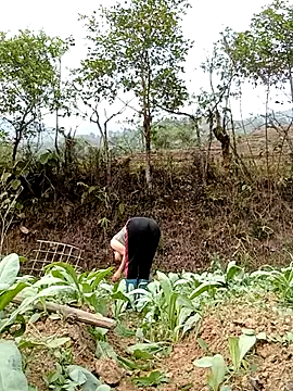 Noelle-e online show from 04-07-26, 10:26