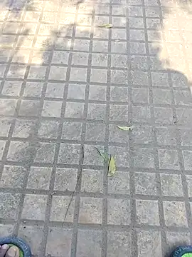 WettedGlimpse online show from 12-03-25, 06:54