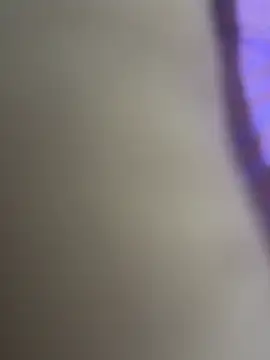 WildNour online show from 04-20-26, 12:13