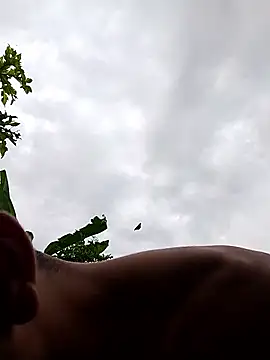 Alex Sweeting online show from 01-12-26, 08:47